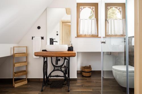 a bathroom with a sink and a toilet at Zacny Lasek in Poronin