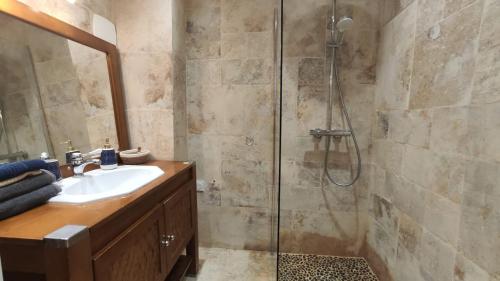 uma casa de banho com um lavatório e um chuveiro em Chez ALYS - Appartement Sarlat em Sarlat-la-Canéda