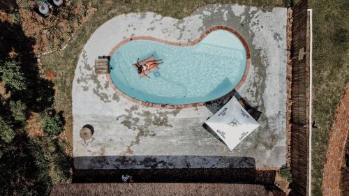 an overhead view of a swimming pool with a fish in a heart at Stanley Island in Plettenberg Bay