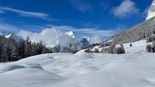 a snow covered slope with trees and mountains in the background at Seilers Vintage Hotel & Spa in Kandersteg
