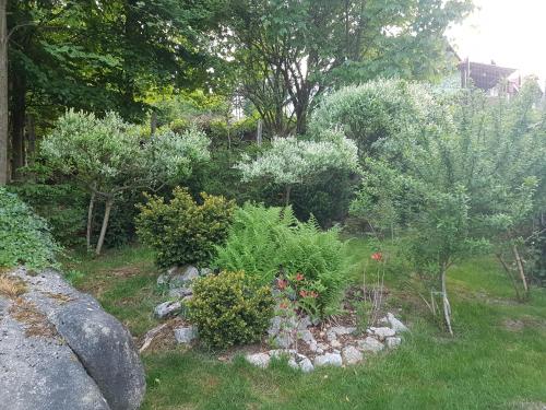 a garden with plants and rocks and trees at Szymonówka W Szklarskiej Porębie in Szklarska Poręba