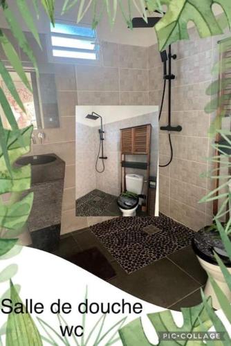 a model of a bathroom with a shower and a toilet at Studio La Normantillaise in Petit-Bourg