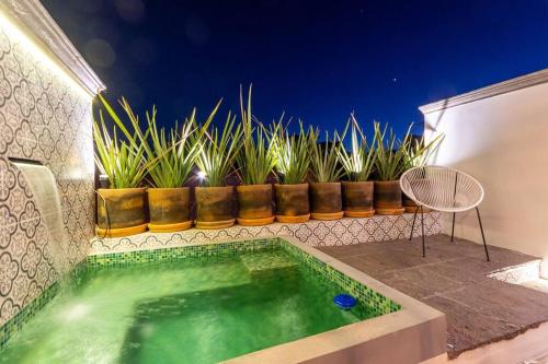 a small swimming pool with plants on a house at Casa Nico - a boutique home in Centro San Miguel in San Miguel de Allende