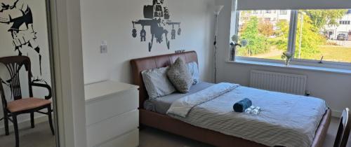 a small bedroom with a bed and a window at Cheerful house, private room and private shower/ toilet. comfortable king size mattress in Colchester