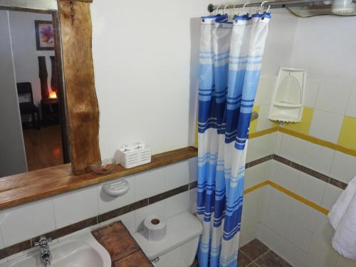 W łazience znajduje się toaleta, umywalka i lustro. w obiekcie La Molienda Casa Hotel w mieście San Agustín