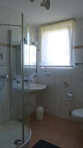 a bathroom with a shower and a sink and a toilet at Eifelidylle am MoselMaareRadweg in Wittlich