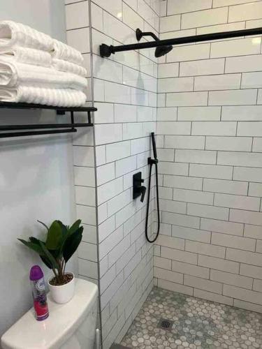 a bathroom with a shower with a toilet and towels at Two bedrooms with parking & washer/dryer in Schenectady