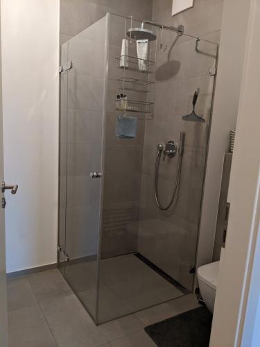 a shower with a glass door in a bathroom at EITHER Private 2B2B OR Shared 1B1B, Luxury, Bright, Spacious in Berlin