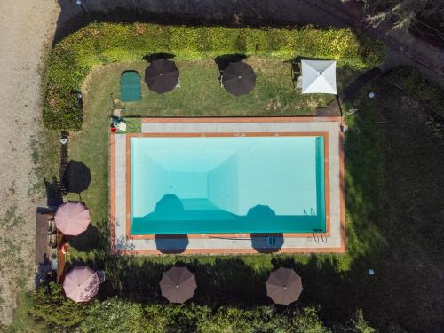 an overhead view of a swimming pool with grass at Antico Podere Il Bugnolo in Poggibonsi