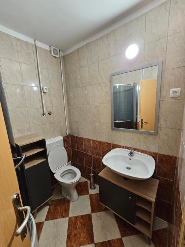 bagno con servizi igienici, lavandino e specchio di Apartma Pekrska vila a Limbuš
