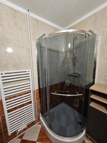 利姆斯的住宿－Apartma Pekrska vila，浴室里设有玻璃门淋浴
