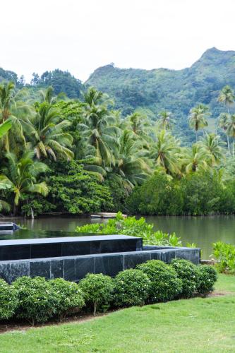 a park with palm trees and a body of water at Villa Ho'a - bord de mer avec piscine in Papetoai
