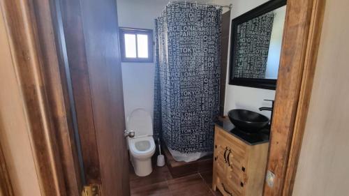 a bathroom with a toilet and a shower curtain at Cabaña en Olmue con piscina compartida in Granizo