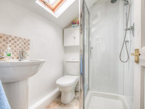 a bathroom with a toilet and a sink and a shower at Daffodil Cottage in Laugharne