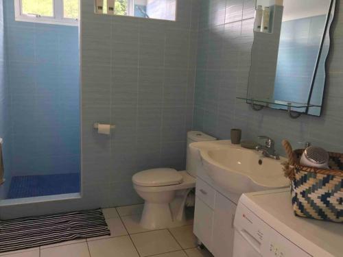 La salle de bains est pourvue de toilettes, d'un lavabo et d'une douche. dans l'établissement PAPEETE - Kahaia Apartment, à Papeete