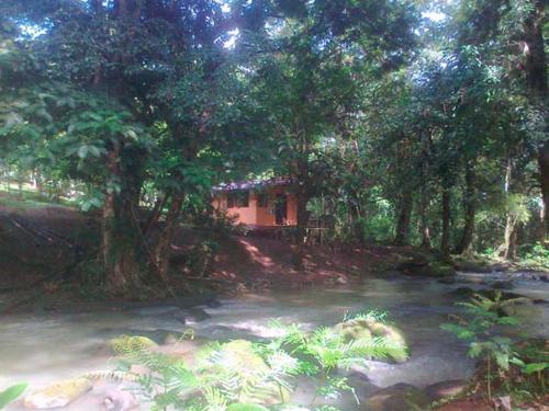 Gallery image of Vanilla Jungle Lodge - Rainforest Waterfall Garden in Puerto Viejo