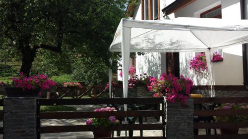 Taman di luar Villa Ana Marija