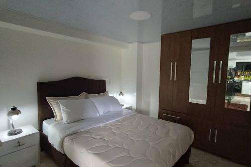 Santa Rosa de Viterbo的住宿－Moderno Apartamento Central，一间卧室配有一张大床和一个橱柜