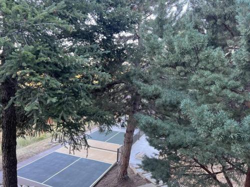 an overhead view of a tennis court between two trees at Snowbasin + Powder Mountain + Spa + Eden in Eden