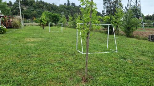 Jardin de l'établissement Cabañas Terra Nova Colbun Machicura