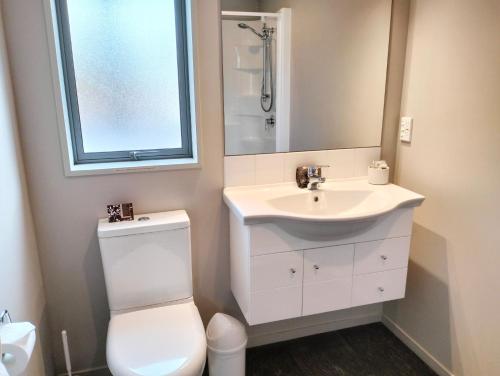 W łazience znajduje się umywalka, toaleta i lustro. w obiekcie Hanmer Apartments w mieście Hanmer Springs