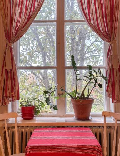 a window with two potted plants sitting on a table at Fridhem Coursecenter & Guesthouse in Stjärnsund