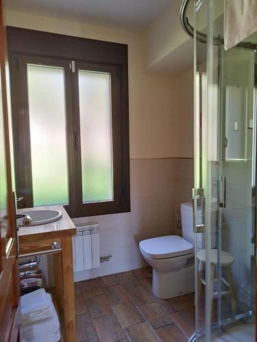a bathroom with a toilet and a sink and a shower at Granja Las Callejuelas in Casla