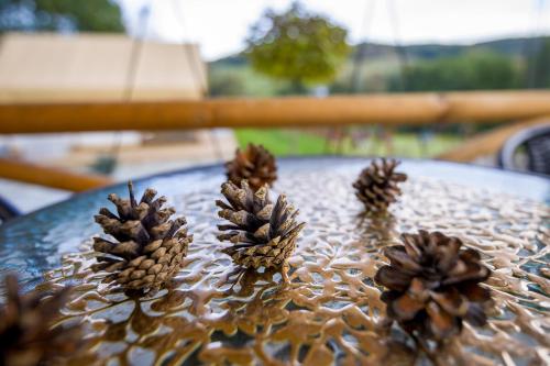 a table with pine cones on top of it at Glamping Pod Gwiazdami in Pietrusza Wola