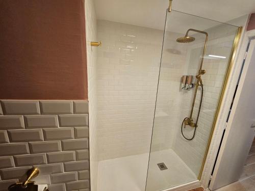 a shower with a glass door in a bathroom at Charmant studio proche du temple in Vienne