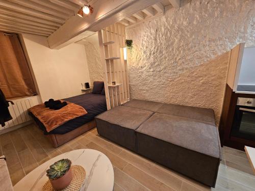 een kleine kamer met een bed en een bank bij Charmant studio proche du temple in Vienne