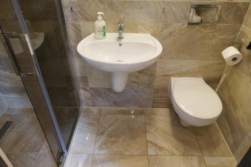 a bathroom with a sink and a toilet at Kamping u Łukasza in Zakopane