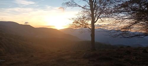 a sunset in the mountains with a tree in the foreground at Anguiano Habitaciones rurales con baño privado in Anguiano