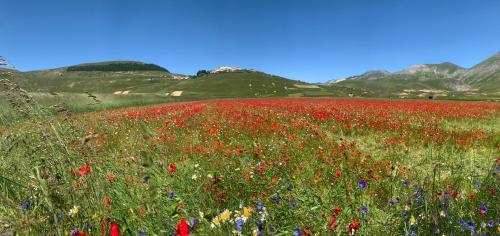 Paisaje cerca de este bed & breakfast