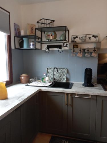 une cuisine avec un évier et un plan de travail dans l'établissement le gite de margot, à Beyssac
