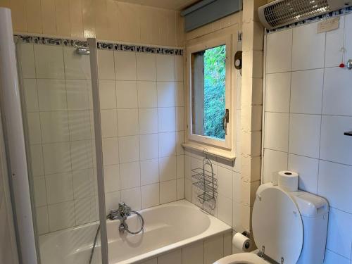 Les Trembles MOUNTAIN & QUIET chalet 12 pers في فييسوناز: حمام مع حوض ومرحاض ونافذة