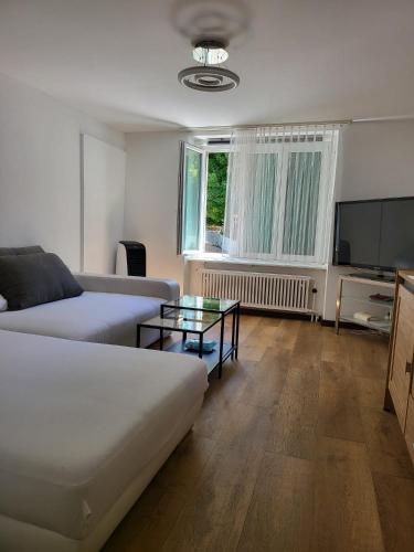 a living room with a couch and a flat screen tv at Bastis Central Guesthouse Lucerne City in Lucerne
