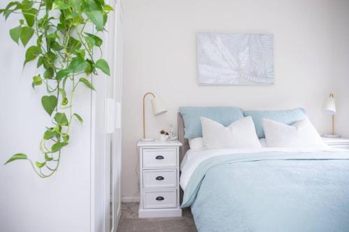 a white bedroom with a blue bed and a plant at Clifton Springs Home - Pet Friendly in Clifton Springs