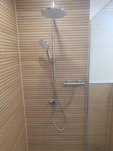 a shower with a shower head in a bathroom at Ferienwohnung Pascale in Mettlach