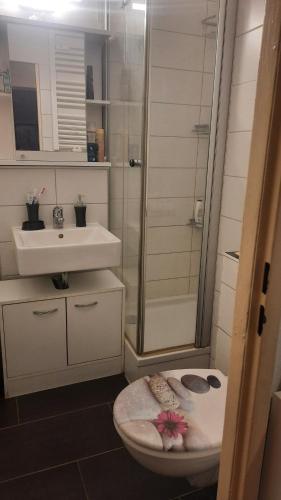 uma casa de banho com um chuveiro, um WC e um lavatório. em 2 Bettzimmer Zentrumsnah em Erfurt