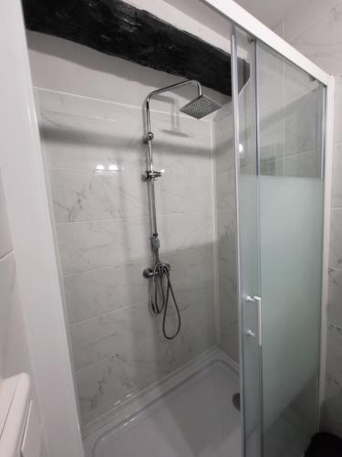 La salle de bains est pourvue d'une douche avec une porte en verre. dans l'établissement APPARTEMENT DE GUISE 10, à Valenciennes