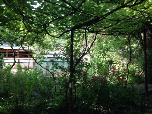 a view of a garden with trees and flowers at Guest House Besarioni in Borjomi