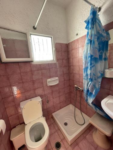 a bathroom with a toilet and a sink and a shower at Yannis Apartments Barbati in Barbati