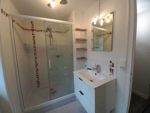 ein Bad mit einer Dusche, einem Waschbecken und einem Spiegel in der Unterkunft Apart sud vendee, zen et confort centre bourg in Saint-Hilaire-des-Loges