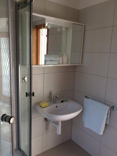 a bathroom with a sink and a glass shower at Apartment Bogdanovic in Fažana