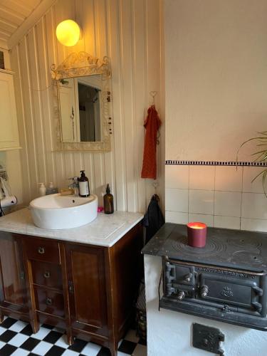 La salle de bains est pourvue d'un évier et d'une cuisinière. dans l'établissement Sigridsro, à Alingsås