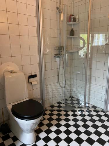 ein Bad mit einem WC und einer Glasdusche in der Unterkunft Sigridsro in Alingsås