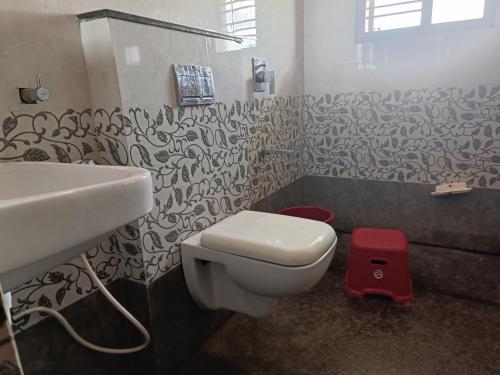 a bathroom with a white toilet and a sink at Sahara premium family homestay in Mysore