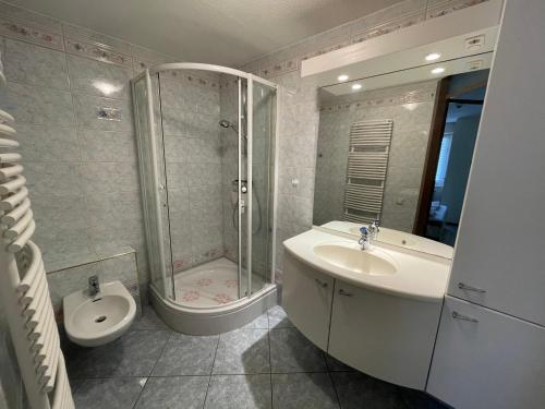 een badkamer met een douche, een wastafel en een toilet bij Appartement 119 in Julianadorp