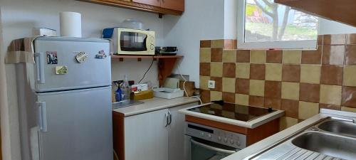 una pequeña cocina con nevera y fregadero en House in Leskovik, en Leskovik