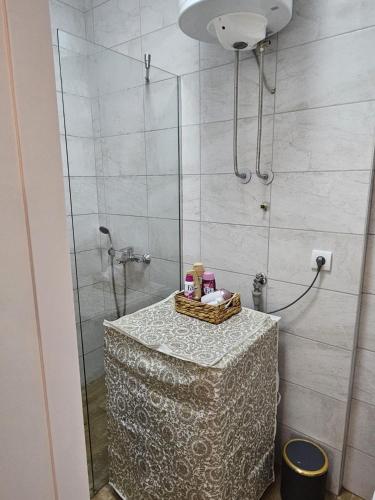a bathroom with a shower with a table in it at Apartman Meggy in Belgrade